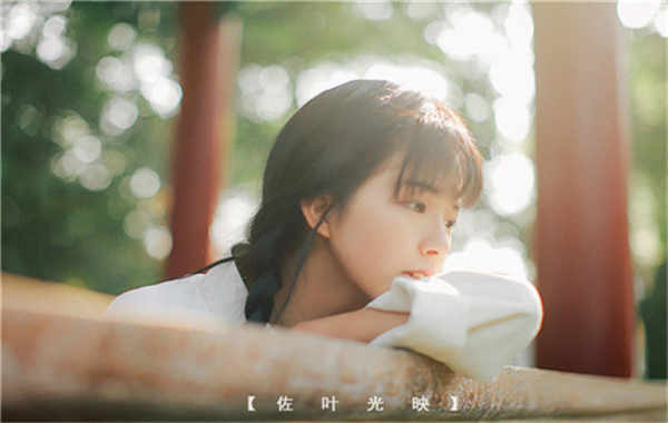 顺城胎儿性别鉴定需要多少钱(胎儿性别鉴定的方法)